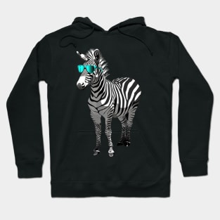 Zebra Awareness Campaigns Hoodie